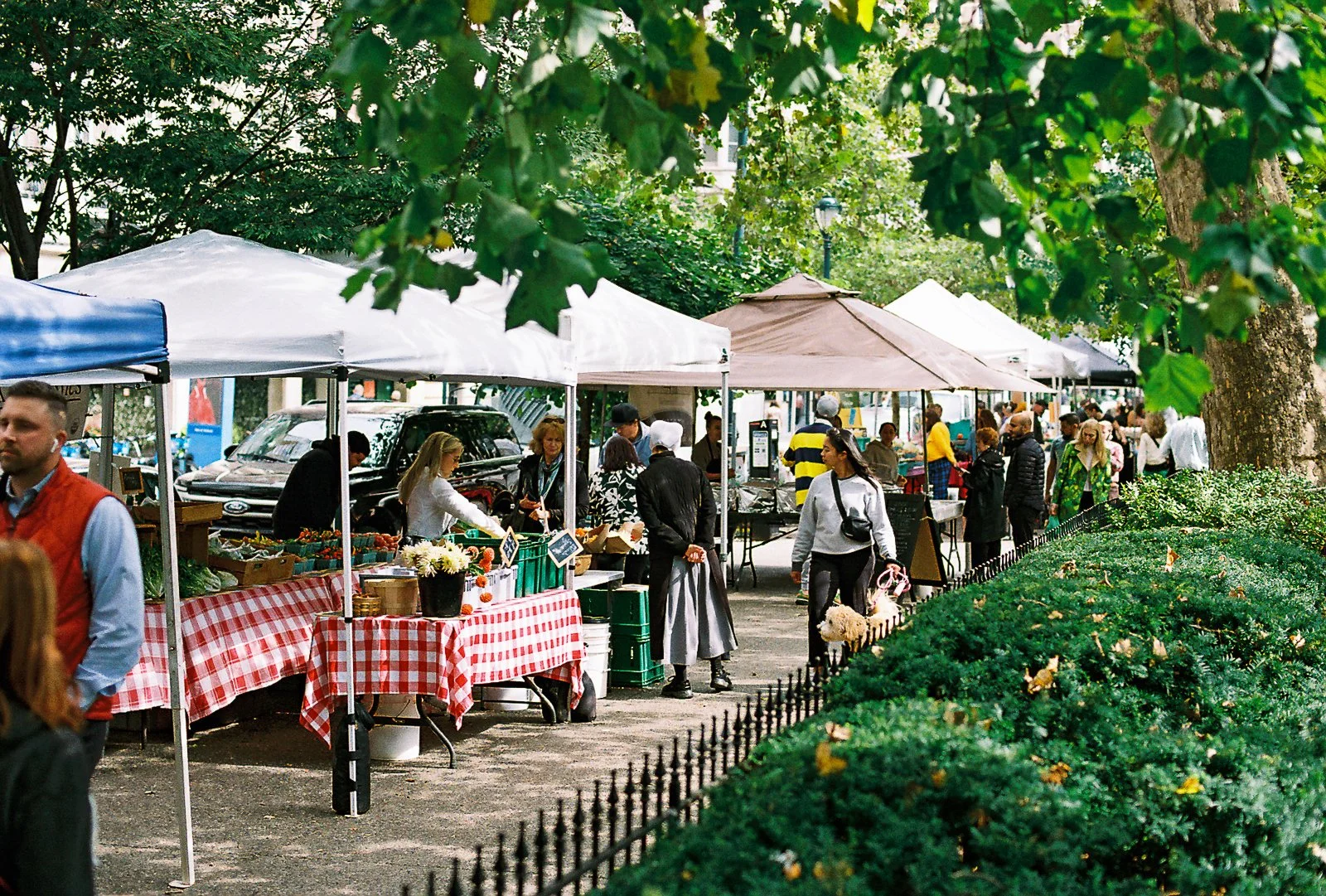 Farm to City Markets
